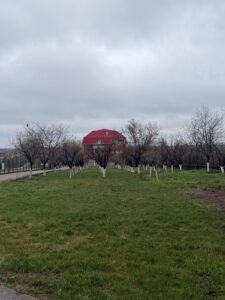 Caminul Adina Snagov
